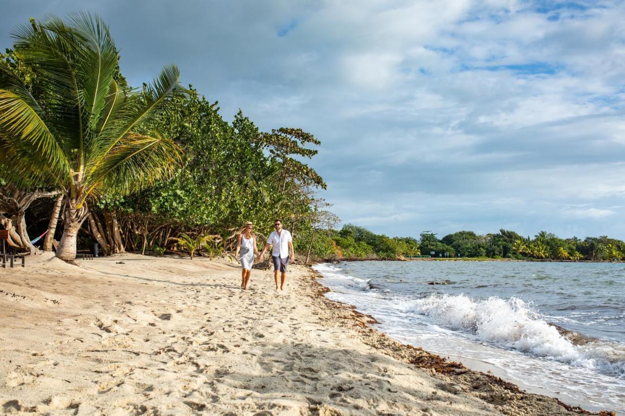 Mariposa Belize Beach Resort Placencia المظهر الخارجي الصورة
